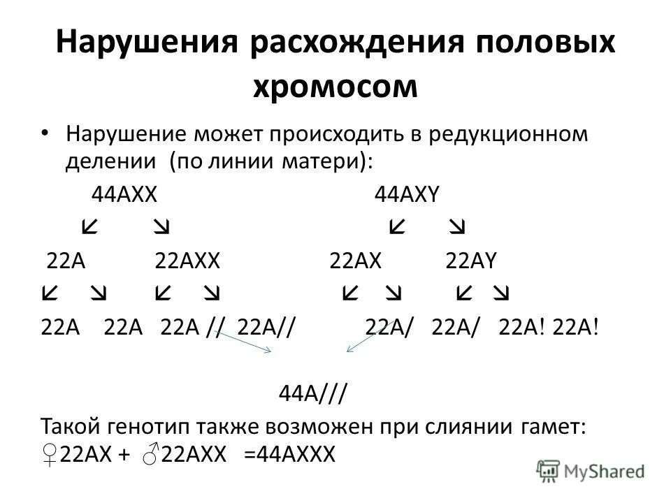 Хромосомная теория наследственности презентация 10 класс. Нарушение расхождения половых хромосом. Хромосомная теория наследственности генетика пола конспект. Хромосомная теория наследственности Моргана. Расхождение по полу генетика.