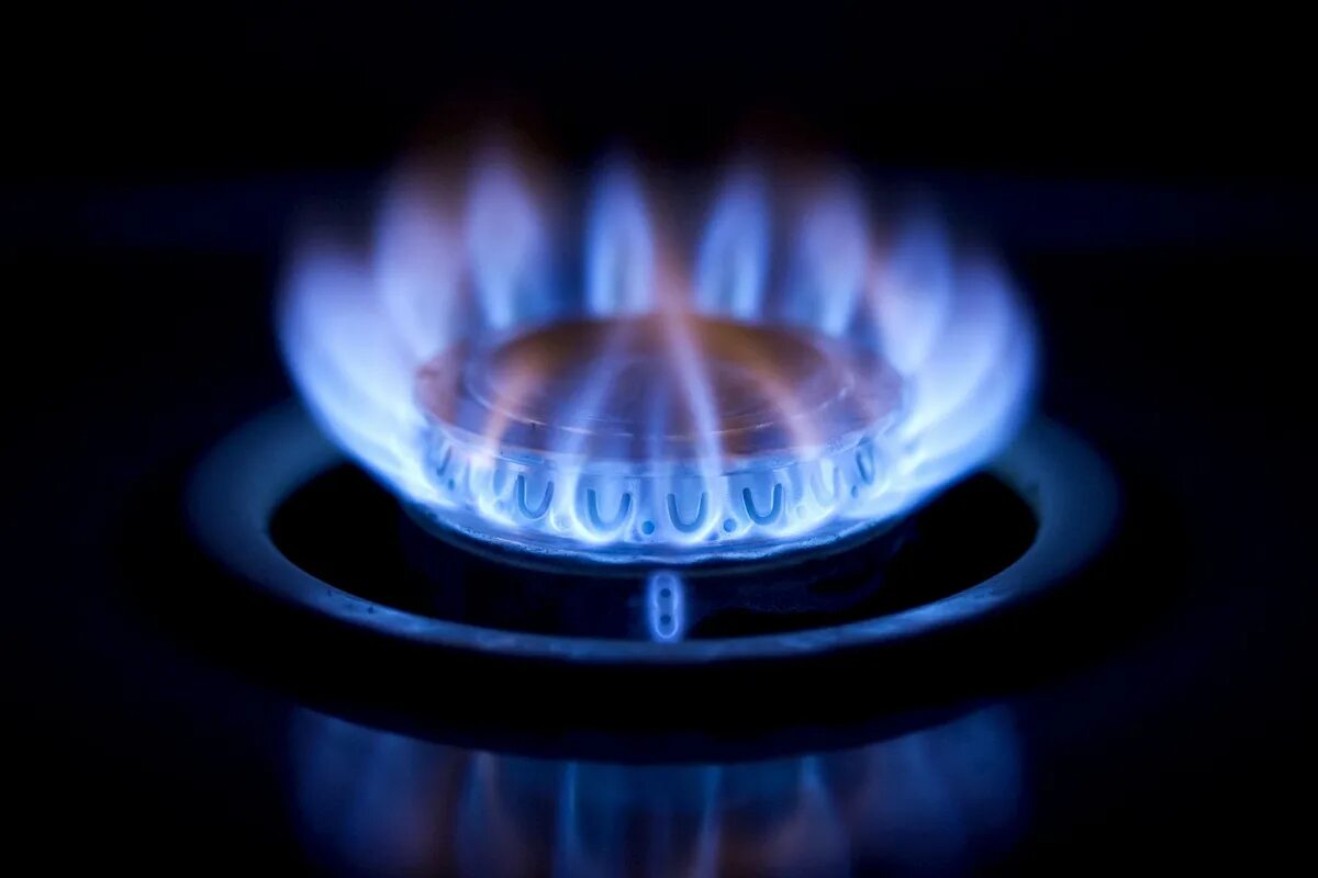 Сгорание природного газа. Газпром газовая конфорка. газовая конфорка горит. горение природного газа. газ конфорка.
