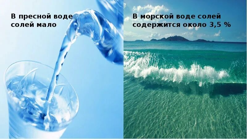 Соленая вода. Пресная вода и морская вода. Соль и вода. Химический процесс соль в воде.