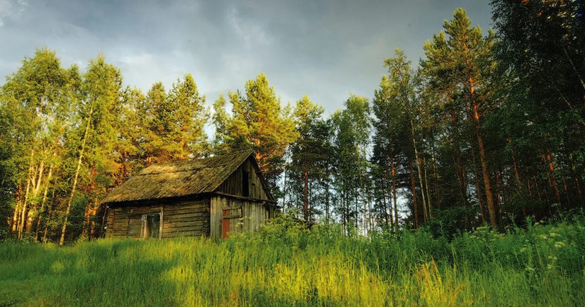 Деревня в лесу. Деревня на опушке леса. Домик на опушке леса. Изба в лесу.