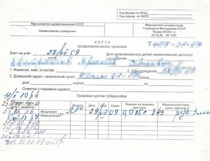 Выписка о прививках где взять