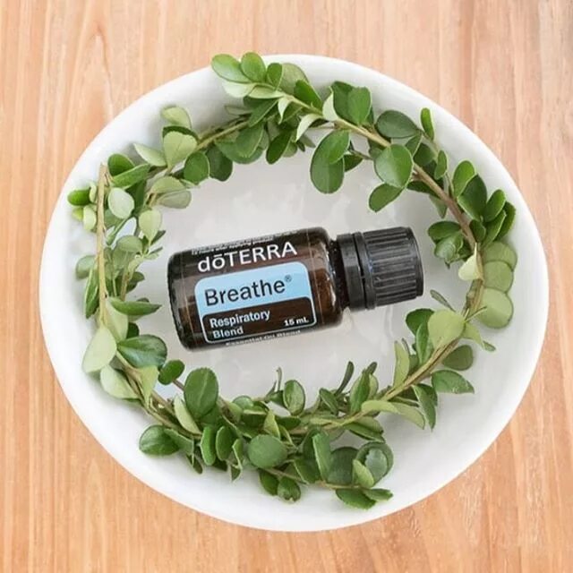Бриз дотерра состав. Doterra эфирные масла бриз. смесь breathe doterra. смесь бриз doterra. смесь эфирных масел бриз дотерра.
