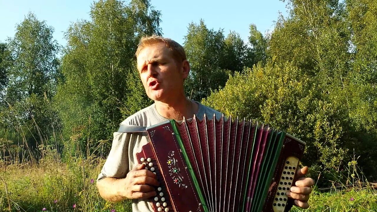 Слушать песню под гармонь веселые. Блатняк под гармонь. Песни вели