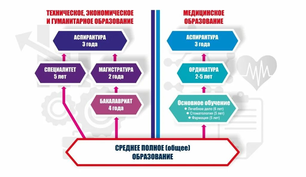 Медицинское образование специалитет. Что такое аспирантура магистратура бакалавриат ординатура. Специалитет ординатура аспирантура. Ординатура и магистратура в чем разница. Ординатура магистратура бакалавриат разница.