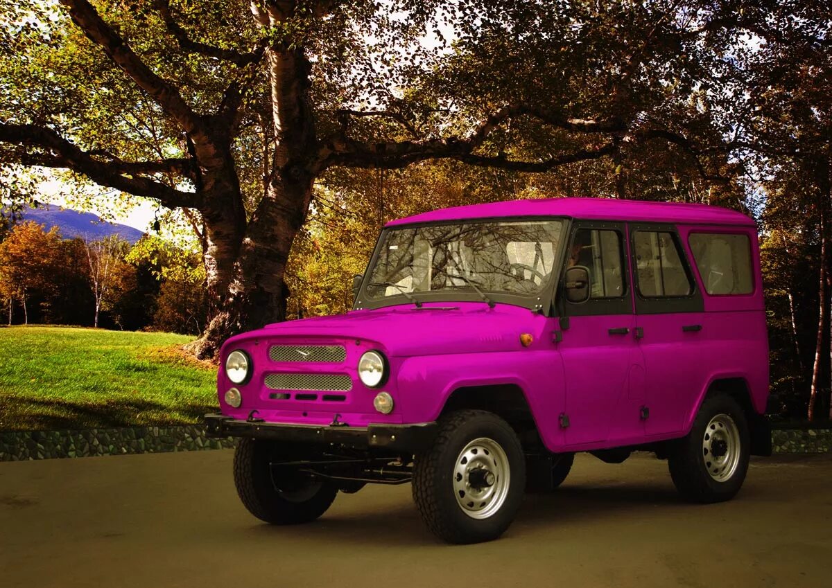 Автомобиль уаз. УАЗ 469 розовый. УАЗ Хантер розовый. УАЗ-452 внедорожник розовая. УАЗ Хантер фиолетовый.