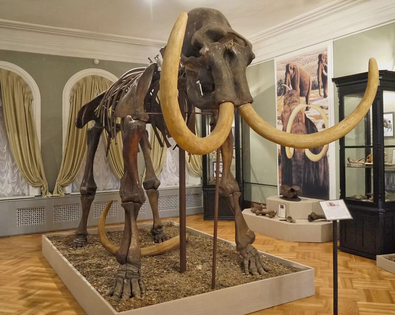 Художественный музей тобольск. Губернский музей тобольск. Тобольский краеведческий музей. Экспонаты тобольского музея. Тобольский краеведческий музей экспонаты.