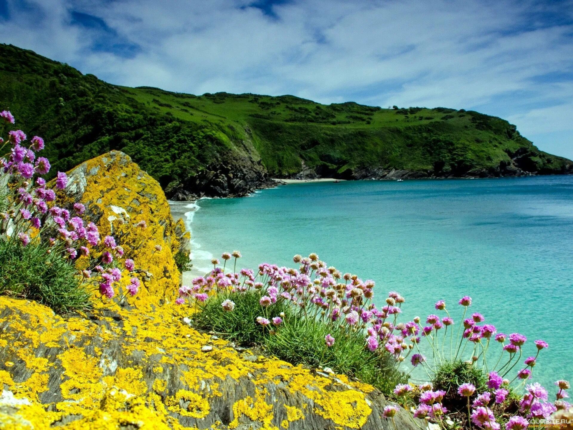 Карибские острова крым. Корнуолл Великобритания природа. Корнуолл скалы. Корнуолл магнолии. Море горы цветы.