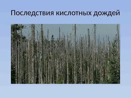 Кислотные дожди и их роль в природе