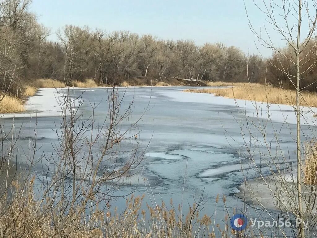 Урал уровень. Урал речка орск. уровень воды в урале. речка урал орск лето. уровень воды в урале илек.