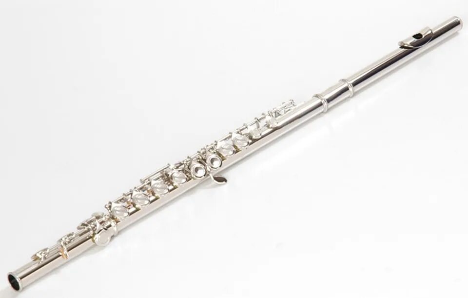 Flute. Флейта инструмент. Современная поперечная флейта. Флейта классическая. Флейта музыкальные классические инструменты.
