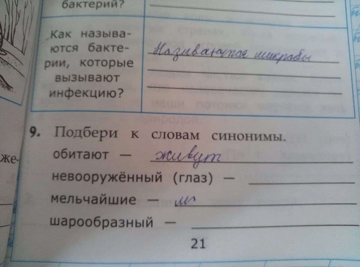 Синоним к слову озеро. Подбери к словам синонимы обитают. Синонимы к слову обитают безвредный мельчайшие шарообразный. Синоним к слову обитают. Синоним к слову шарообразный.