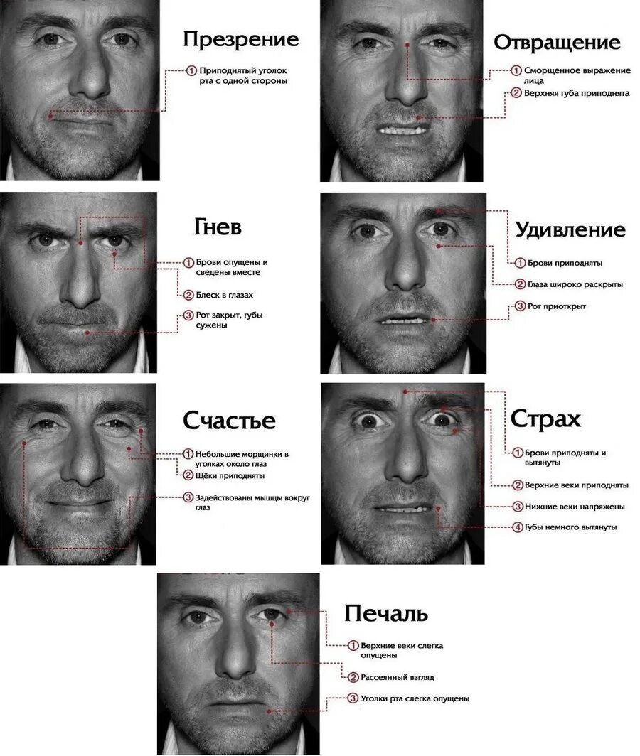 Жесты и мимика виды
