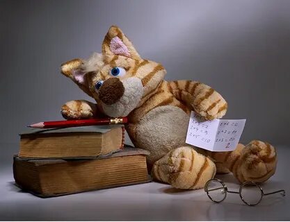 Мягкие игрушки книги