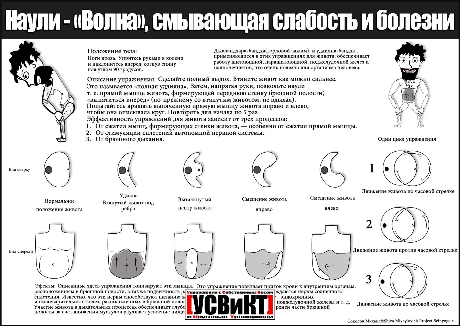 Живот против часовой стрелки. Техника наули для начинающих. Техника наули для начинающих пошагово. Техника живота наули. Техника наули для похудения живота.