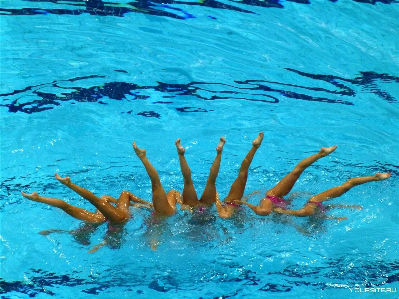 Программы синхронного плавания. Программы синхронного плавания. Синхронистки. Синхронное плавание синхронистки. Синхронистка чигирева.