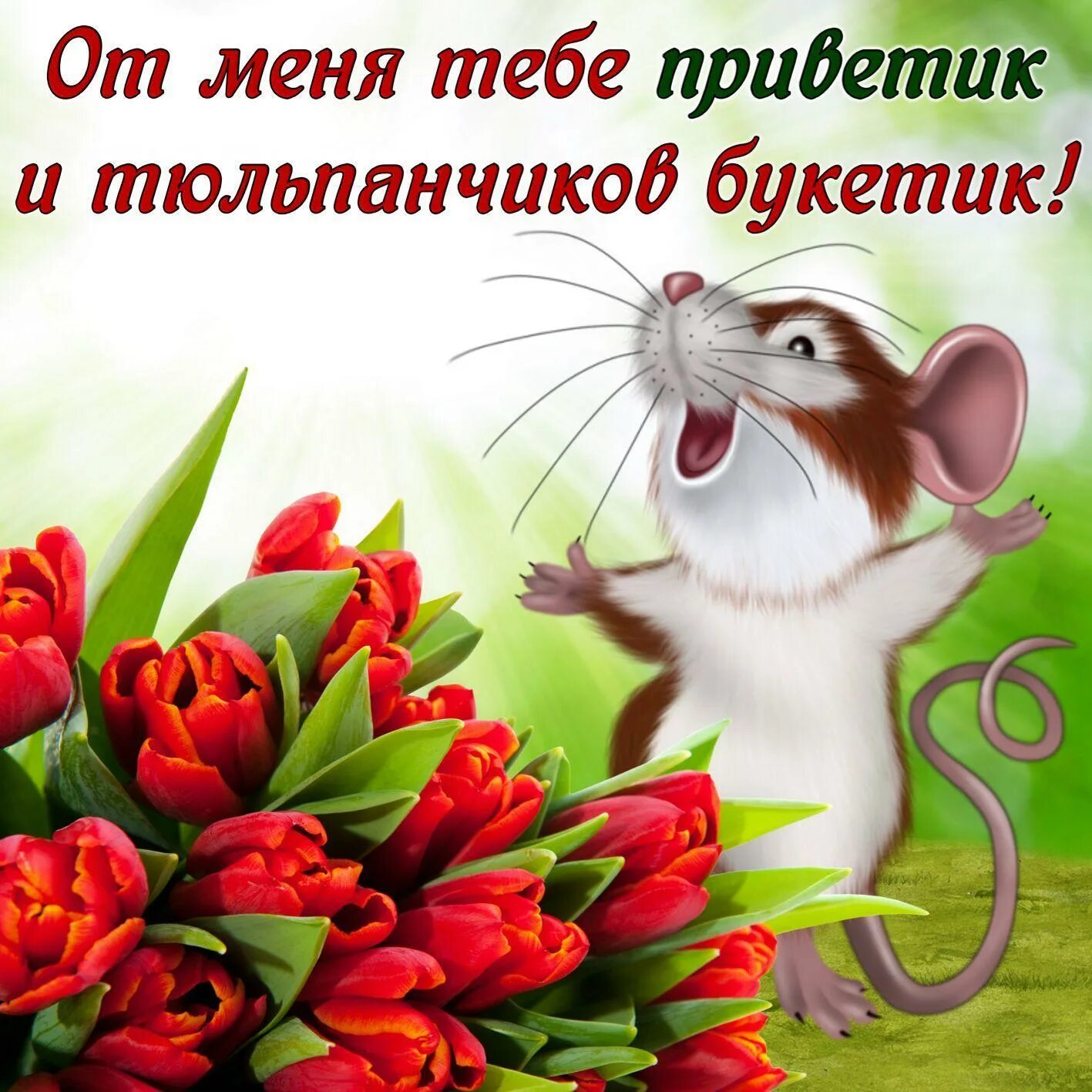 Привет тебе от меня и хорошего. Открытки привет. открытка хорошего дня и настроения. открытки приветик от меня. открытки с приветом и пожеланиями.
