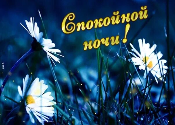 Доброй весенней ночи природа. Спокойной ночи сладких снов. Спокойной летней ночки. Спокойной ночи солнце. Доброй ночи летом.
