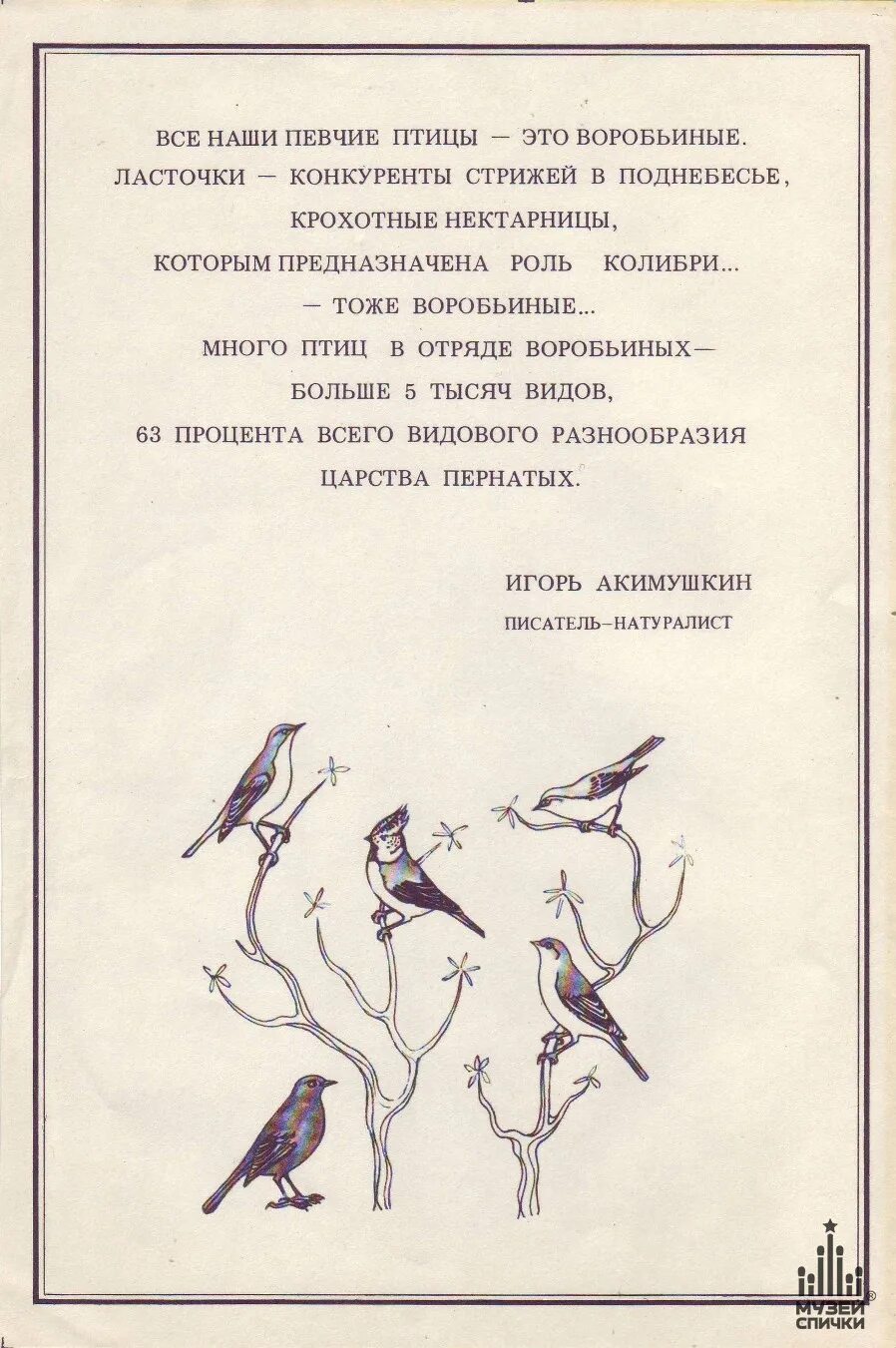 Певчие птицы уже улетели. Наши певчие птицы. певчие птицы уже улетели в теплые края. певчие птицы уже улетели текст. задания по теме певчие птицы.
