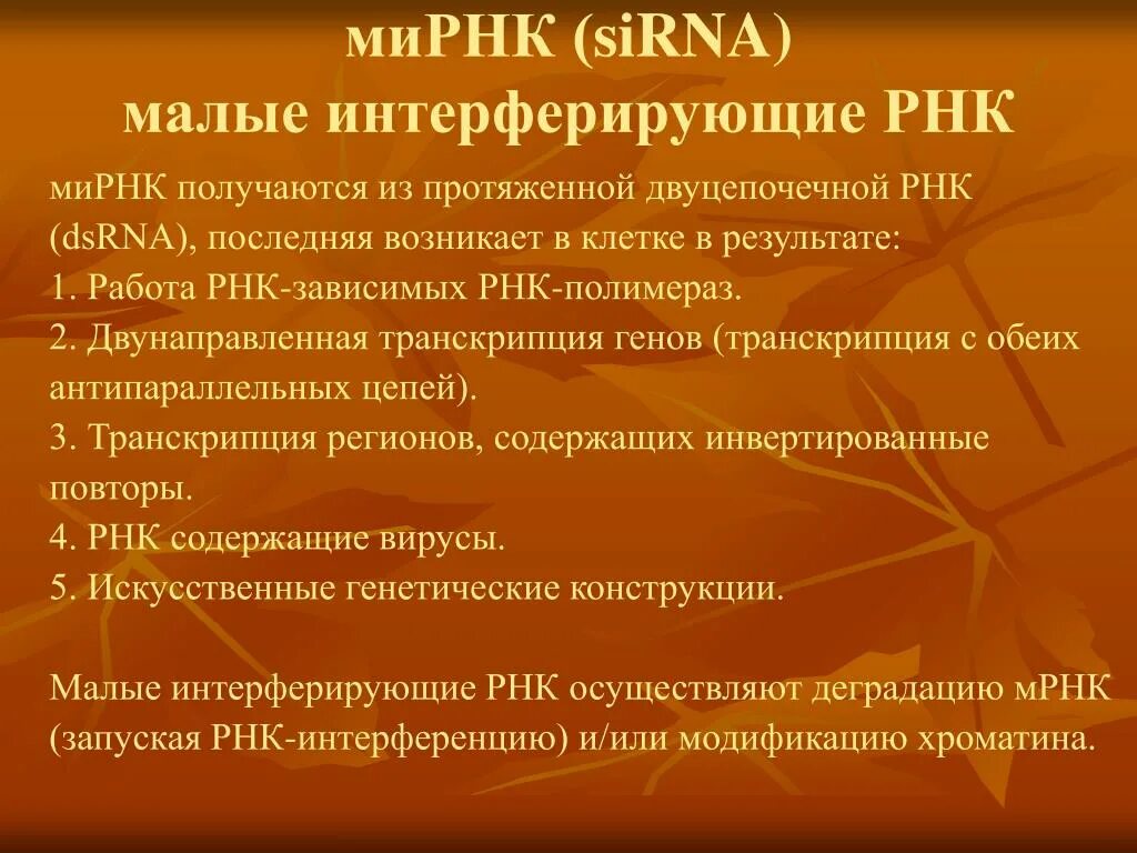 Малые интерферирующие РНК. Структура малых интерферирующих РНК. Малые интерферирующие РНК функции. Малая интерферирующая РНК функция.