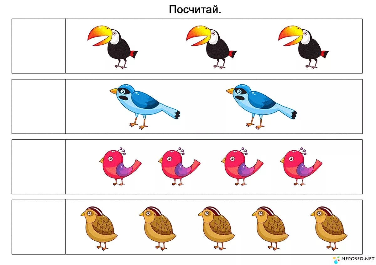 Фэмп младшая группа счет. Птички задания для детей. Птицы для детей дошкольников. Птицы задания для малышей. Развивающее занятие птицы.