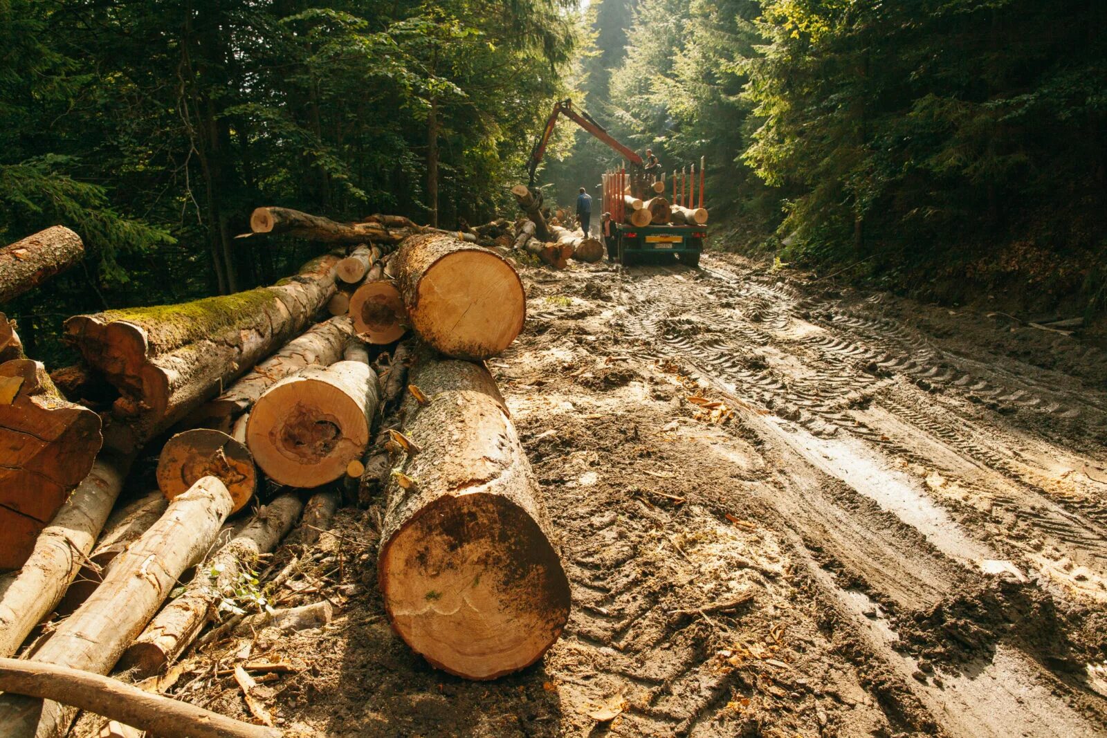 Logging operations