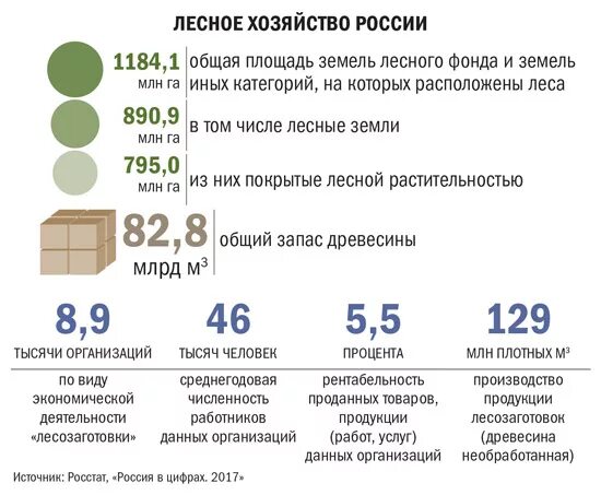Лесной фонд 2022. Классификация лесов по целевому назначению. Лесной фонд. Площадь лесов. Защитные эксплуатационные и резервные леса.