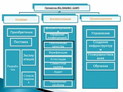 Организационные процессы жизненного цикла