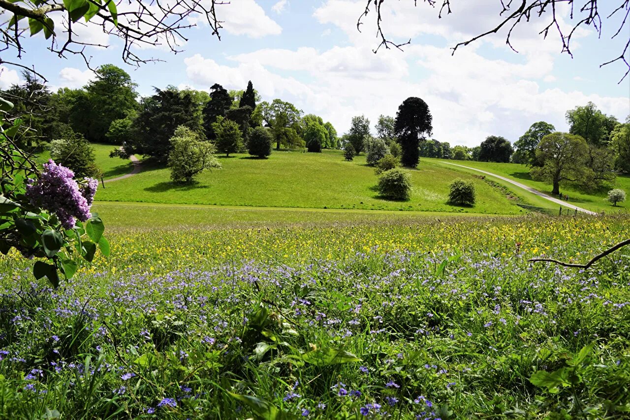Ландшафт британии. Долина англия поле. Луг на английском. Полевой луг в банке чочунах. Англия луг.