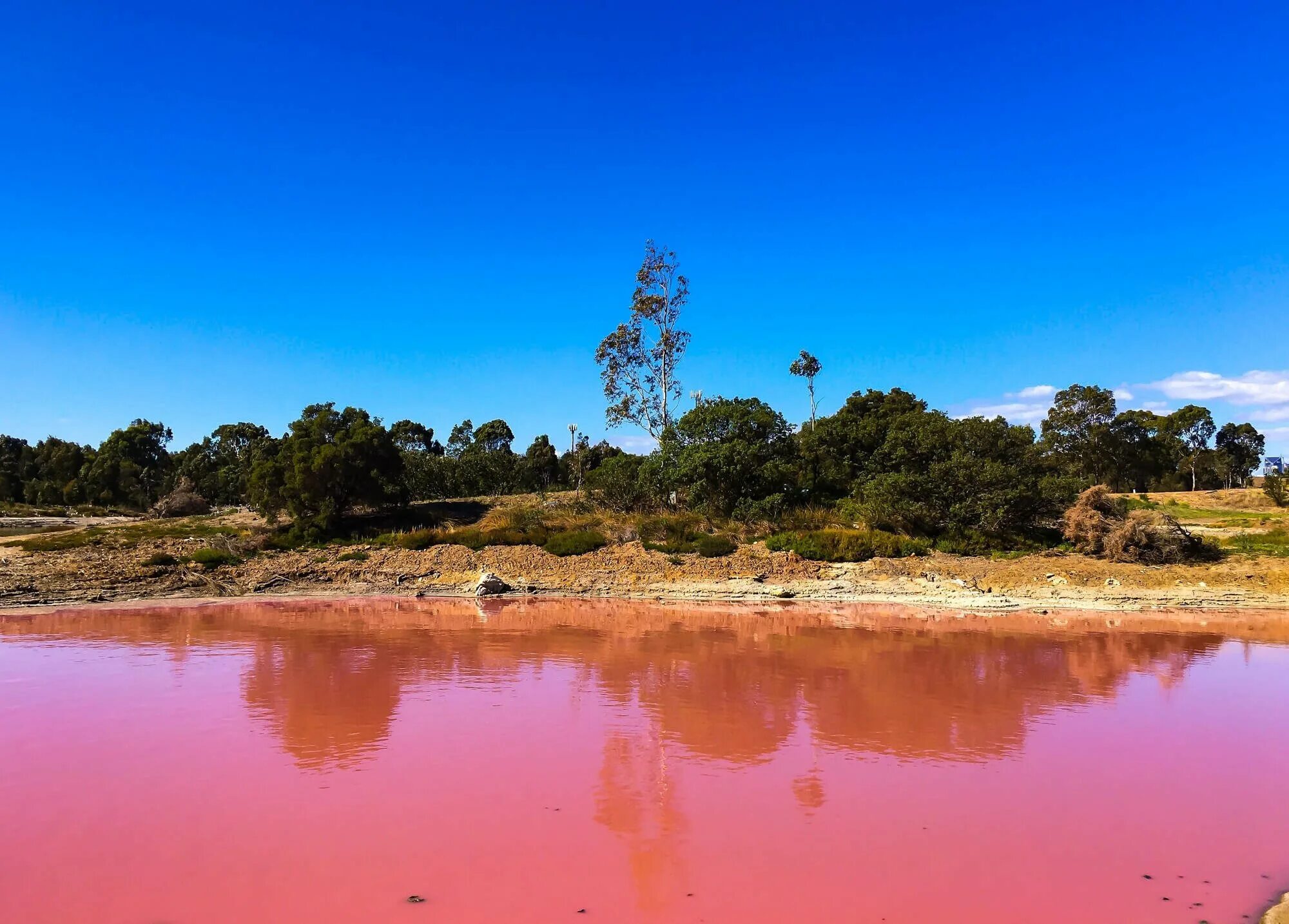 Озеро Хиллер. Озеро Хиллиер, Австралия. Озеро Хиллиер (Lake hillier), Австралия. Австралия. Эсперанс. Озеро Хиллер. Озера южной австралии