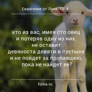 100 овец