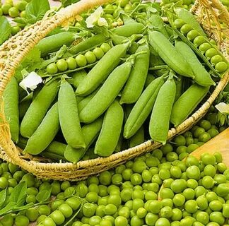 Vegetable pea