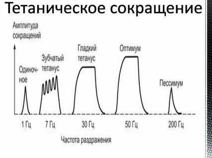 Зубчатый тетанус частота