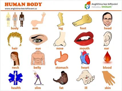 Human words