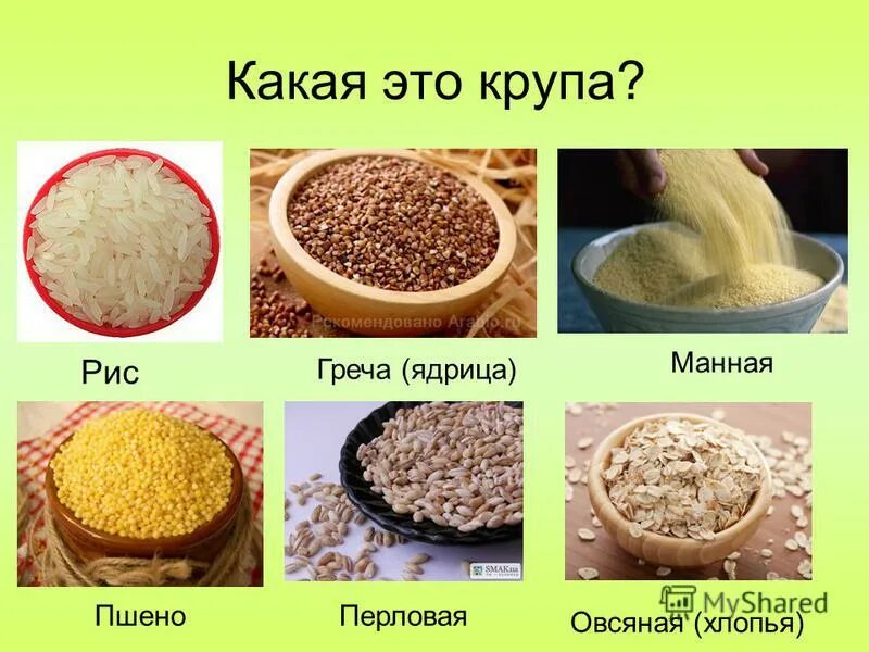 Крупы. Название круп. Крупы для детей. Каши названия. Пшенная и пшеничная в чем