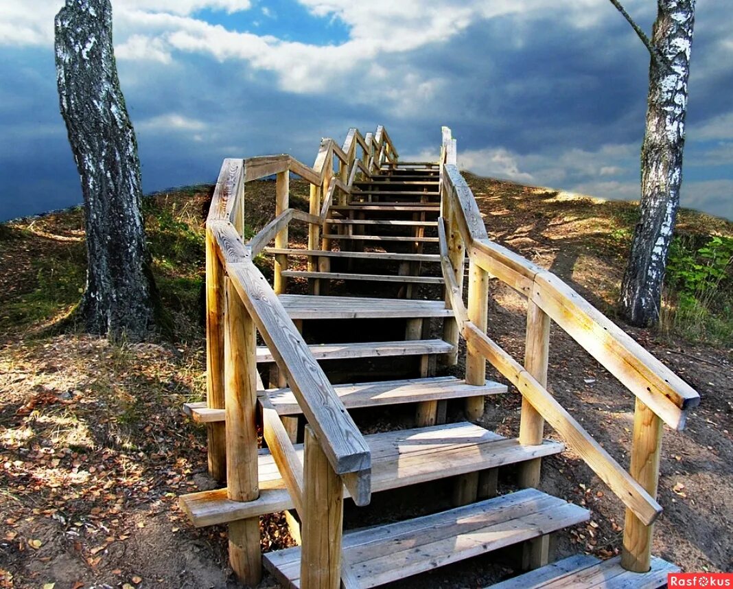 Лестница. Лестница природа. Деревянная лестница на природе. Природа со ступеньками. Красивая лестница на природе.