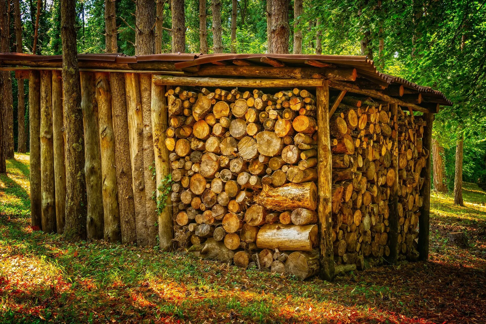 Дровяник своими руками. Дровяник Вики. Сарай-дровенник из бревен. Дровник сарай. Красивый дровяник.