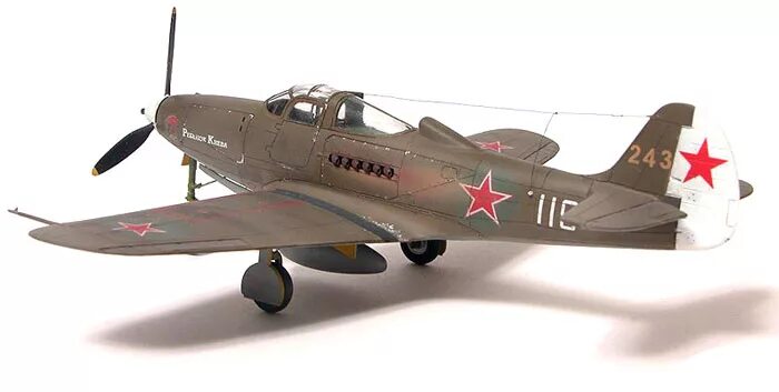 Tecnam p2006t mkii. P-82 mustang. P 51 twin mustang. Самолет technam. Твин мустанг f-82 чертежи.