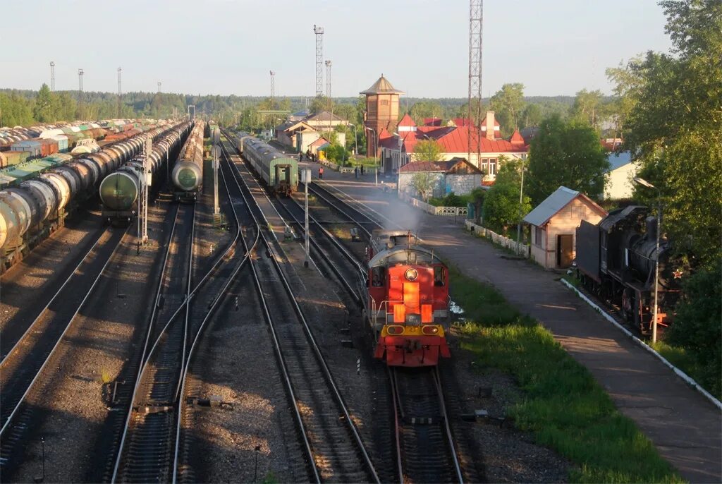 Санково тверская область