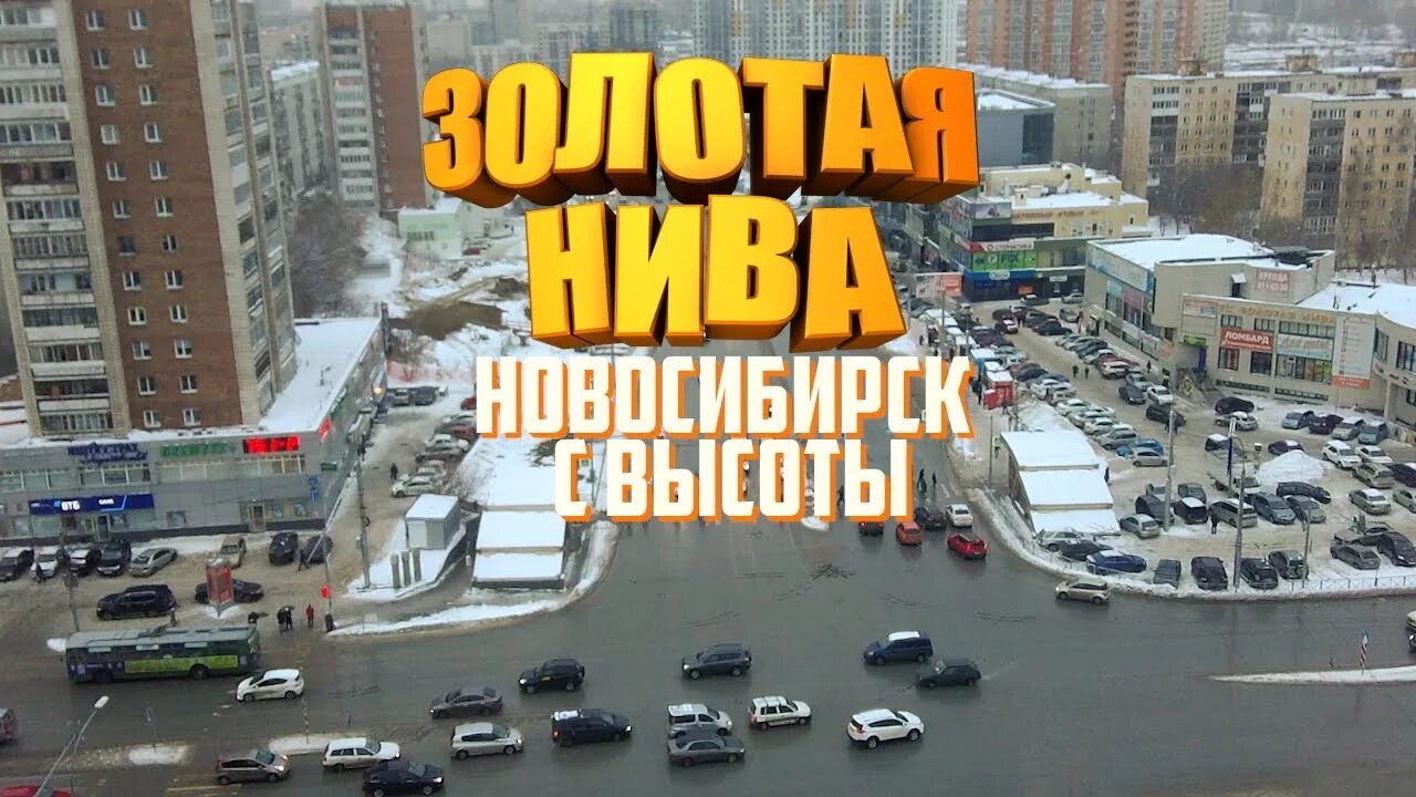 На "Золотой ниве" отключат светофор Сибирь