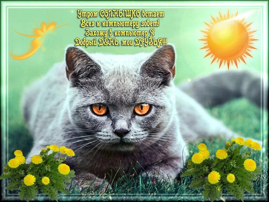 Доброе утро хорошего дня с кошками. Открытки хорошего дня и отличного настроения. пожелание хорошего дня с кошками. открытки хорошего дня с котиками. хорошего настроения котики.