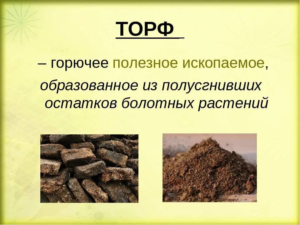 Торф относится к группе