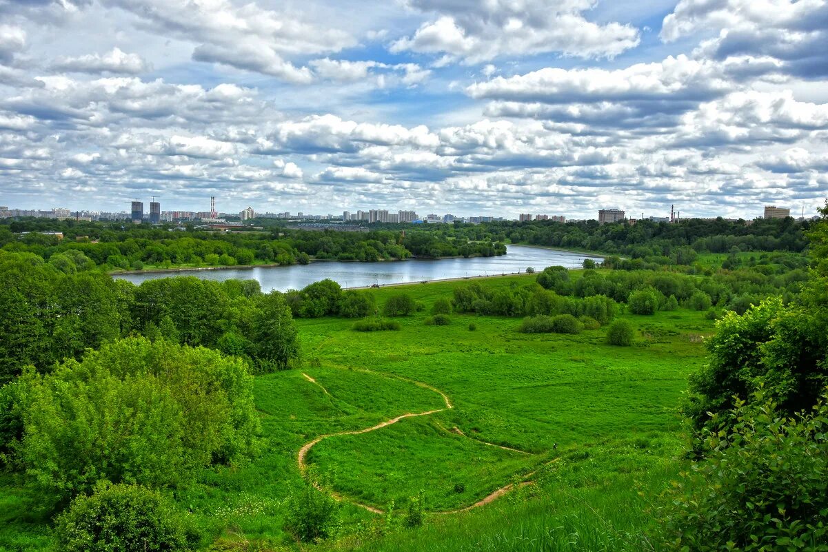 Р подмосковный. Парк Коломенское река. Коломенский парк Москва река. Парк Коломенское лес.