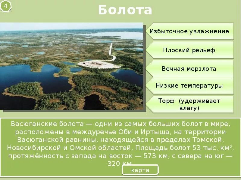 Особенности природных условий западной сибири. Характеристика природы западной сибири. природа западной сибири презентация. природа западной сибири кратко. природные особенности сибири.