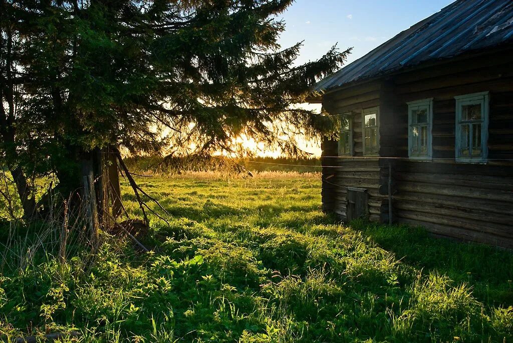 Деревенский вайб это. Деревенский домик. природа деревня. лето в деревне. деревенский домик летом.