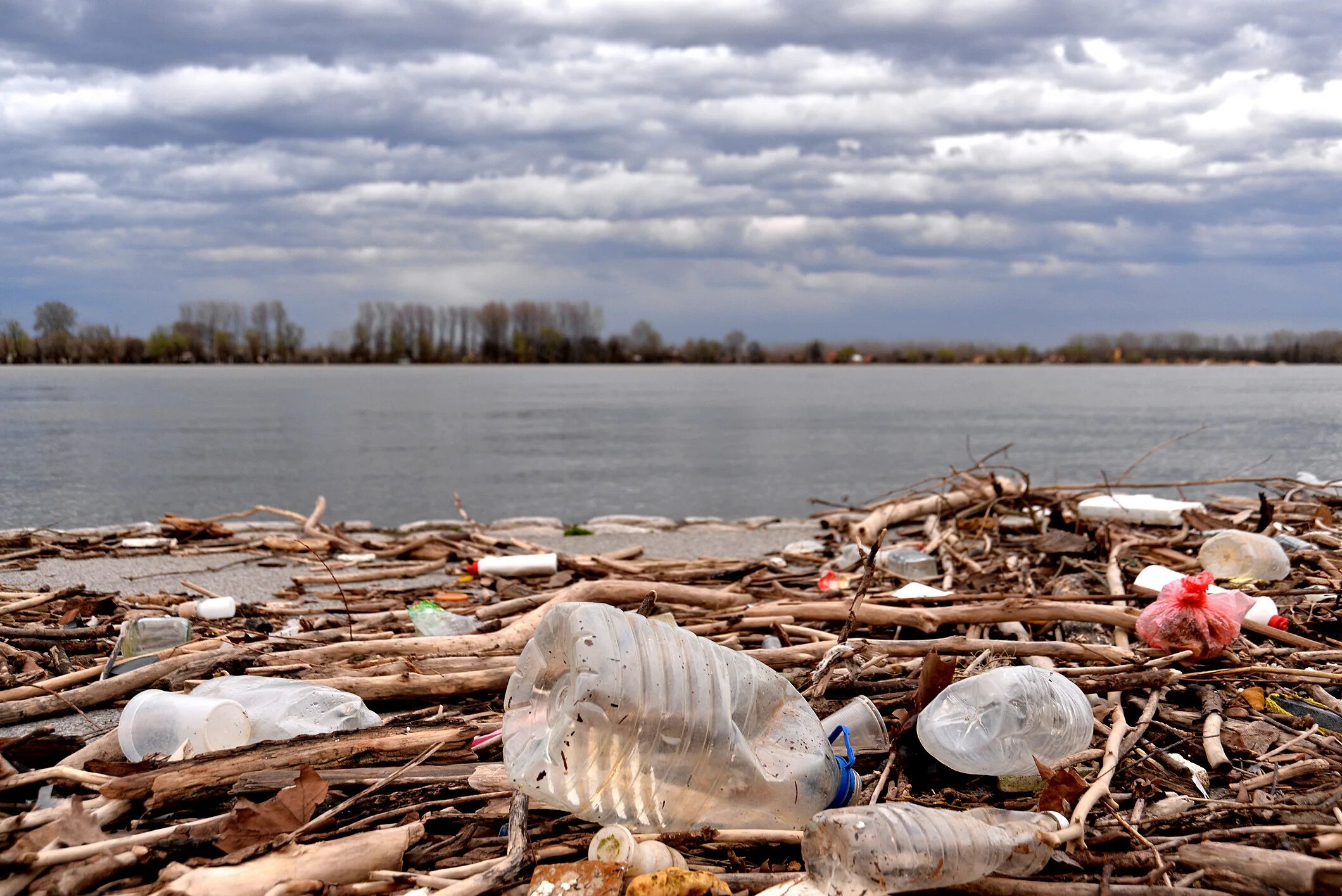 Рост загрязнения воды