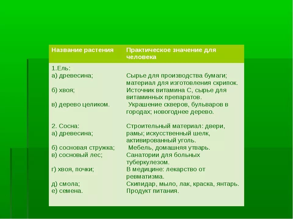 Каково значение хвойных растений в природе назовите. Значение голосеменных растений в жизни. Голосеменные в жизни человека и в природе. Значение голосеменных растений в природе и жизни человека. Роль голосеменных в природе и жизни человека.