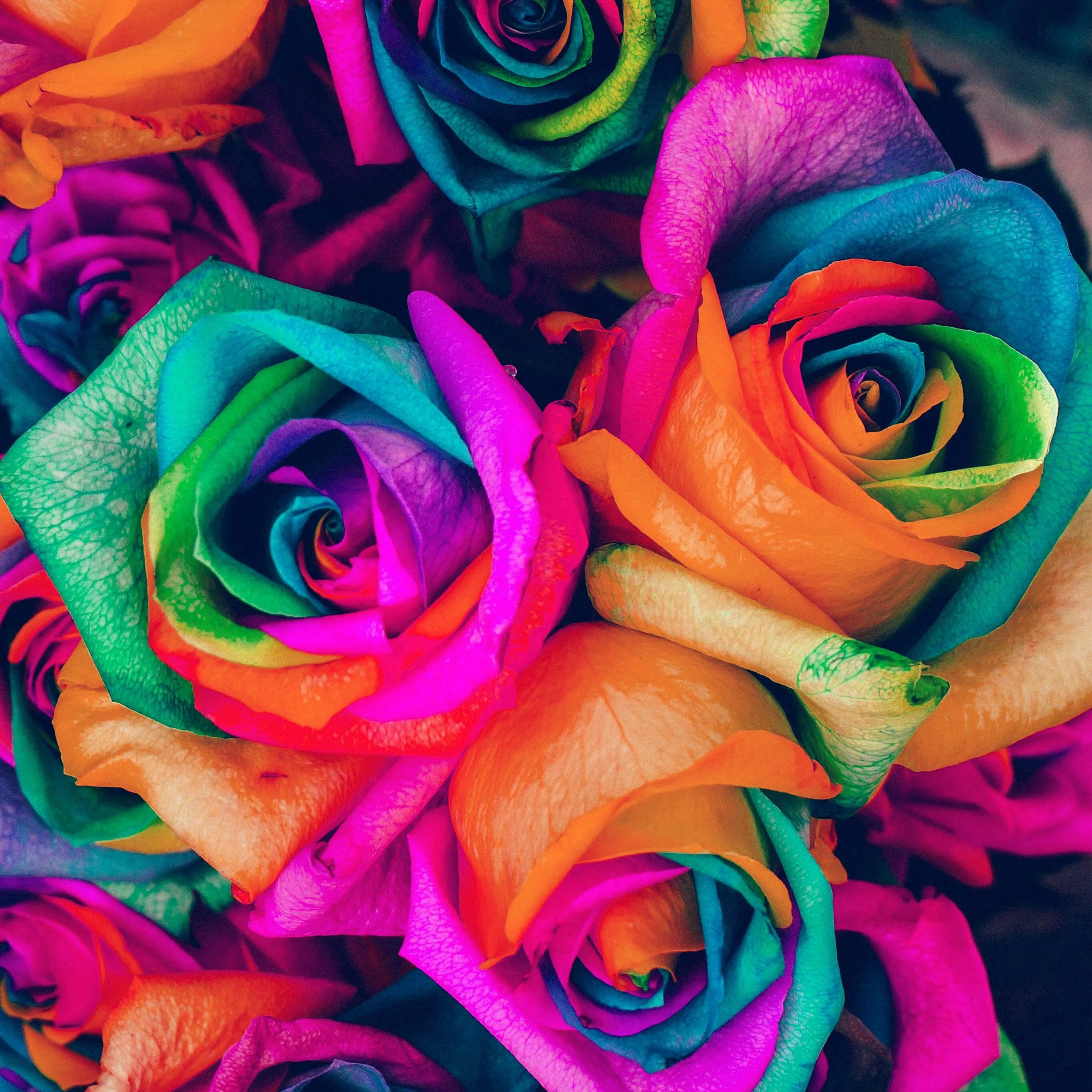 R flower