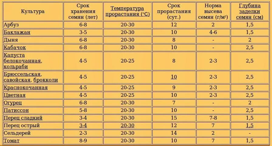 Температура прорастания семян томатов. Таблица глубины посева семян овощей. Глубина посева семян овощных культур таблица. Глубина заделки семян огурцов. Глубина посева семян огурцов.