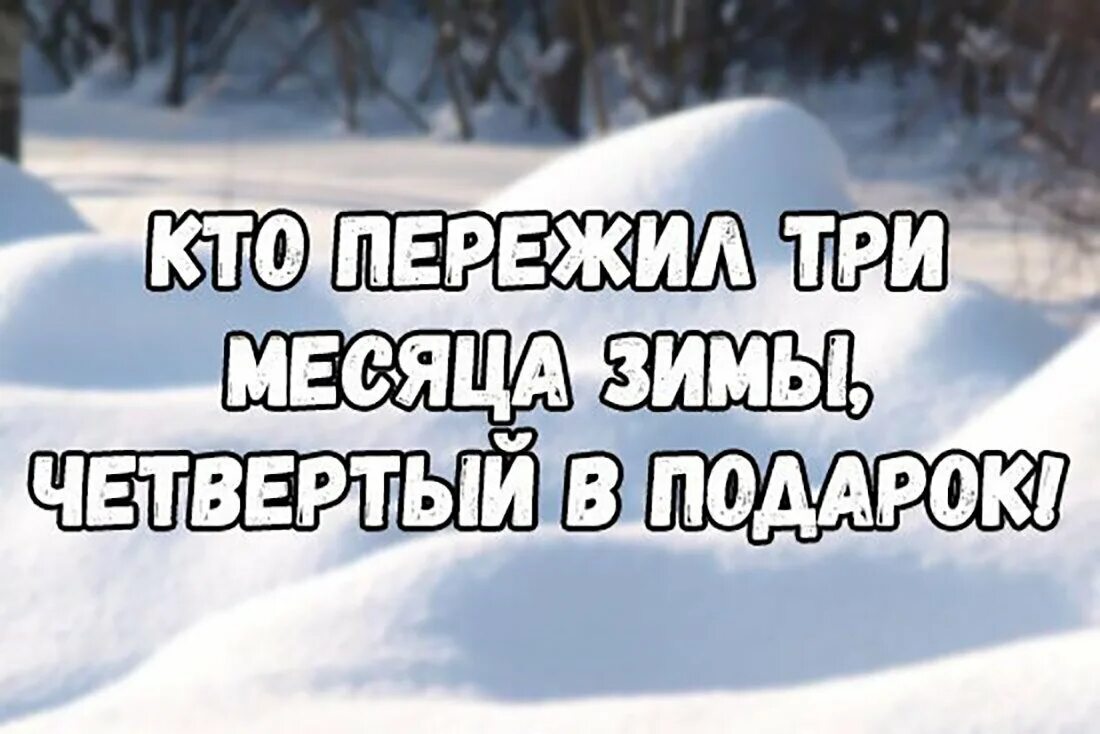 Пережившие зимнюю