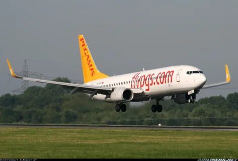 Pc pegasus airlines